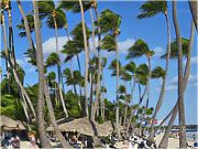 Palmy u pláže - Grand Palladium Bávaro Resort & SPA, Dominikánská republika