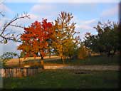 Pozdní podzim na Hrušově hýří barvami 